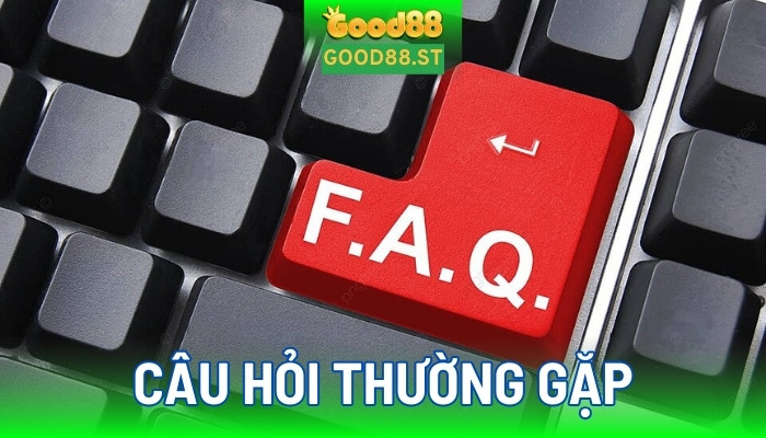 Các chủ đề phổ biến trong Câu hỏi thường gặp