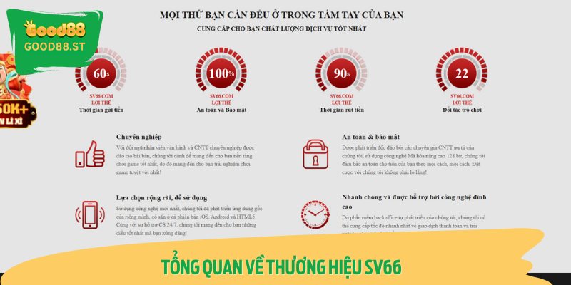 Tổng Quan Về Thương Hiệu