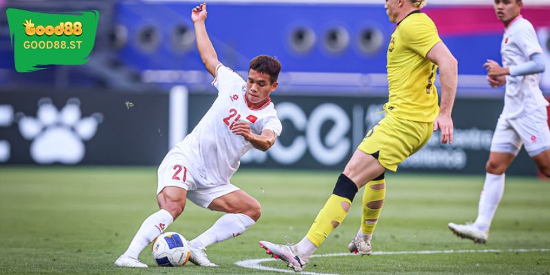 Bóng rổ, quần vợt và các môn thể thao khác